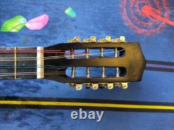 Octave Mandolin Guitar Conversion! Green! 8 String! Acoustic! OOAK! Mandocello
