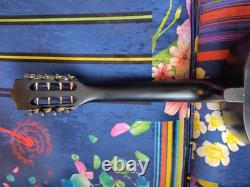 Octave Mandolin Guitar Conversion! Green! 8 String! Acoustic! OOAK! Mandocello