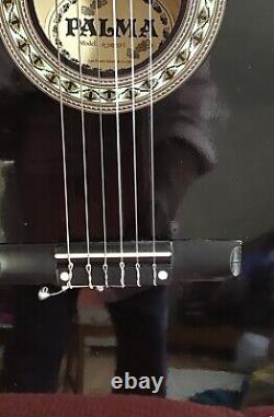 Professionar Classic Guitar Model PL34BK0FT- 1 Set Tom & Will PALMA Made China