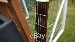 Rare & Beautiful Ibanez AE300 Guitar Made In Japan 1982 MIJ With Case