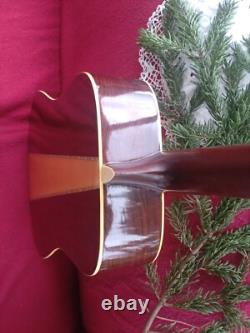 Rare Vintage Kay KDG812 12 String Guitar Matsumoto Made in Japan 1970s