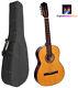 Spanish Guitar With Eq, Gypsy Guitar, 7 Strings Guitar, Made By Hora + Hard Case