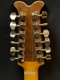 Stunning One Of A Kind Hand Crafted 12 String Guitar Excellent Player Awesome