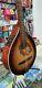 Sunburst Irish Bouzouki With Eq (built In Pick-up), Made By Hora, Solid Wood