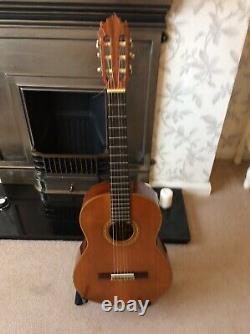 Suzuki Classical Guitar In Hard Case Made In Japan