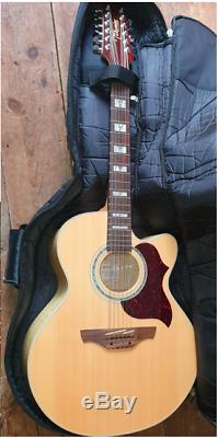 Takamine EG523sSC-12 full size Korean-made 12 string guitar