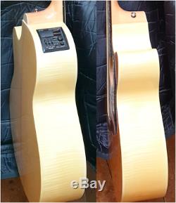 Takamine EG523sSC-12 full size Korean-made 12 string guitar