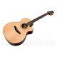 Takamine Mosaic Limited Edition Nex/c New Made In Japan Dreadnought Acoustic