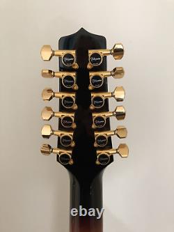Takamine P-6 (hand made) Jumbo Cutaway 12 string guitar withcase. Newithnot used