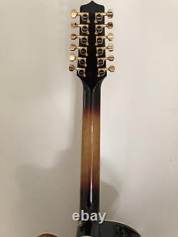 Takamine P-6 (hand made) Jumbo Cutaway 12 string guitar withcase. Newithnot used