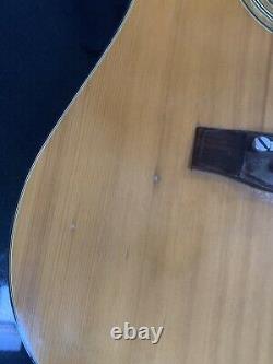 Takeharu WT-100 Acoustic Guitar, Vintage Made In Japan