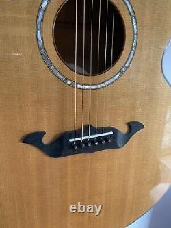 Taylor 915m Acoustic Guitar Only 32 Ever Made