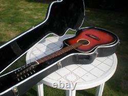Vintage 1960's E L 12 string Acoustic made in Czech Republic Spares Repair