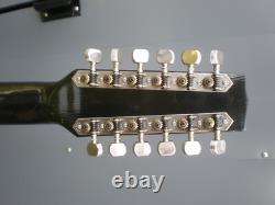 Vintage 1960's E L 12 string Acoustic made in Czech Republic Spares Repair