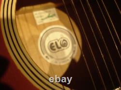 Vintage 1960's E L 12 string Acoustic made in Czech Republic Spares Repair