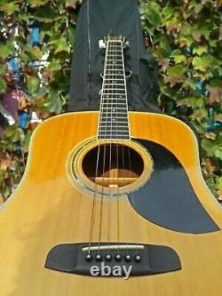 Vintage 1979 M. Suzuki W-300 Acoustic Guitar Made Japan MIJ Rosewood Martin D-28