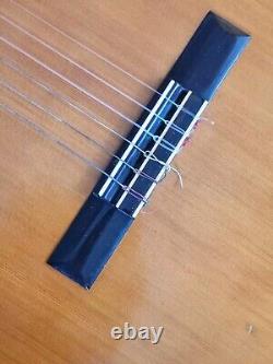 Vintage Guitar Guitar Shiro Made In Japan With Case