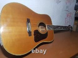 DREADNOUGHT IBANEZ DES ANNÉES 70 ÉDITION TRÈS LIMITÉE Fabriqué au JAPON