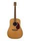 D-1r D-1r/guitare Acoustique/corps Seulement/fabriqué En 1999/naturel// Martin