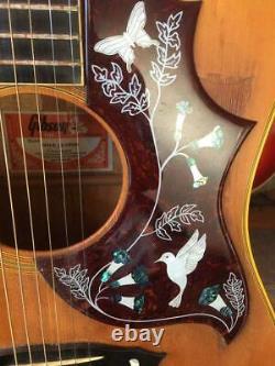 Gibson Dove Sur Mesure / Guitare Acoustique Avec Hc Originale Fabriquée En 1973-75