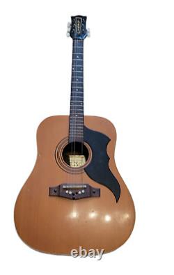 Guitare EKO Ranger 6 des années 1970 a besoin d'attention - Super projet - Fabriqué en Italie