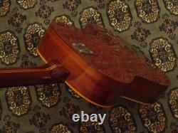 Guitare Eko vintage Texan (fabriquée en Italie)