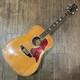 Guitare Acoustique Morris W-50 Tf Fabriquée Au Japon Maurice Current