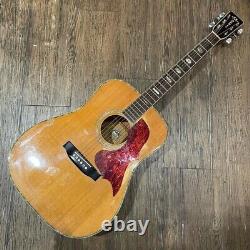 Guitare acoustique Morris W-50 Tf fabriquée au Japon Maurice Current
