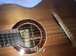 Hand Made Fan Guitare Acoustique Italienne Chantourner