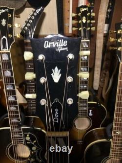 Orville par Gibson Guitare acoustique DOVE fabriquée au Japon Provenant du JAPON