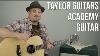 Taylor Guitars Academy Series Entry Level Guitare Acoustique